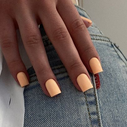 Покрытие цветом(топ-мастер)