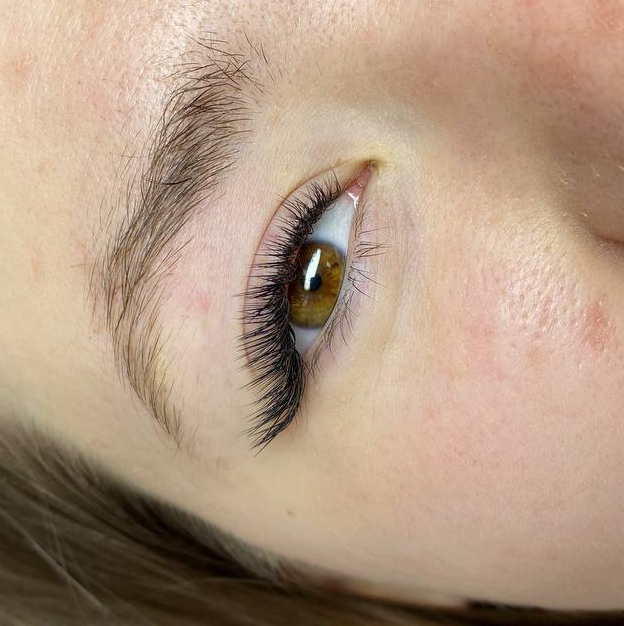 2D (Вероника)