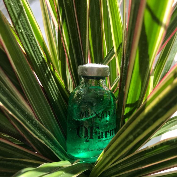 Счастье для бровей