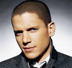 Стрижка под машинку (до 6 мм)