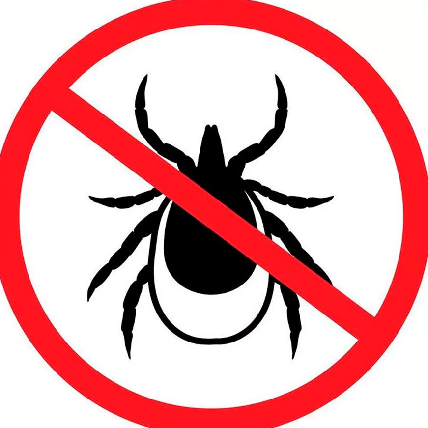 Удаление клеща