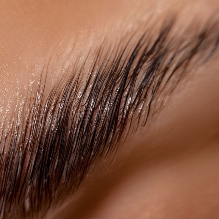 Ламинирование бровей+ботокс+окрашивание+коррекция