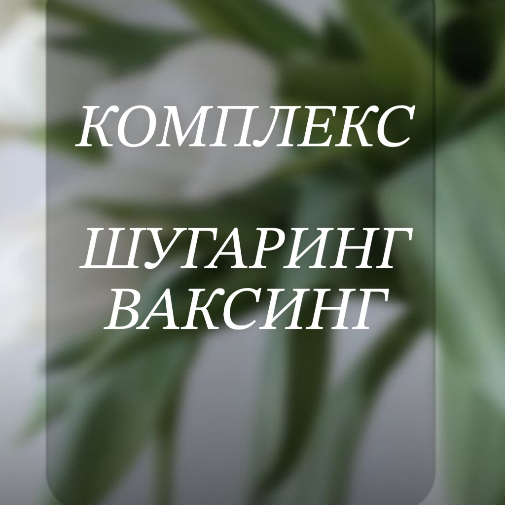 Комплекс Бикини+ подмышки