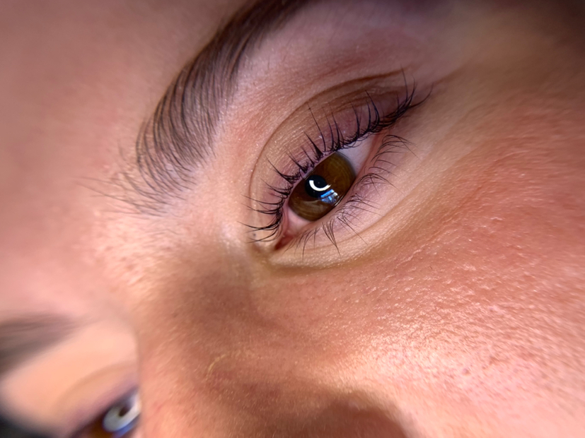 Только окрашивание ресниц