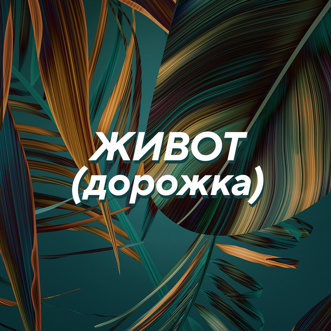 * Живот «дорожка»