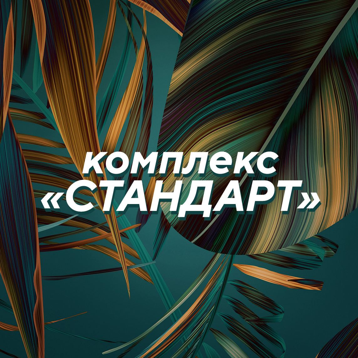 * Комплекс «Стандарт» (тот. бикини + подмышки + голени)