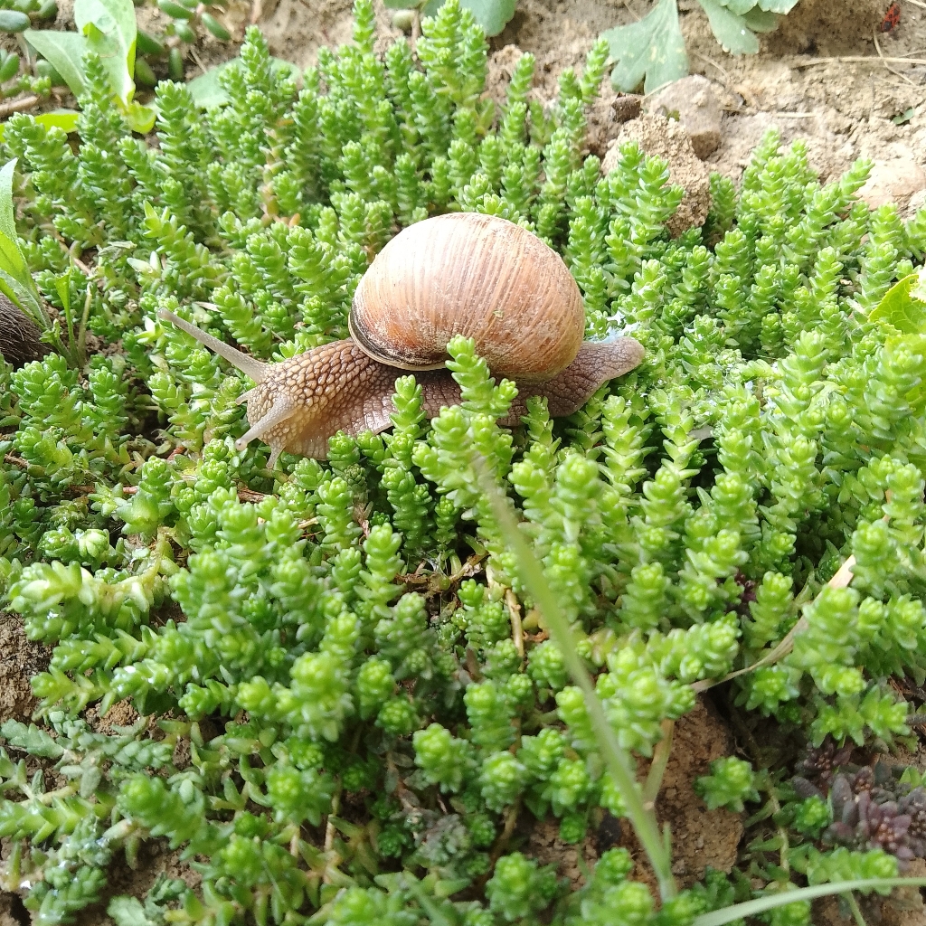 АквоТорнадо дети