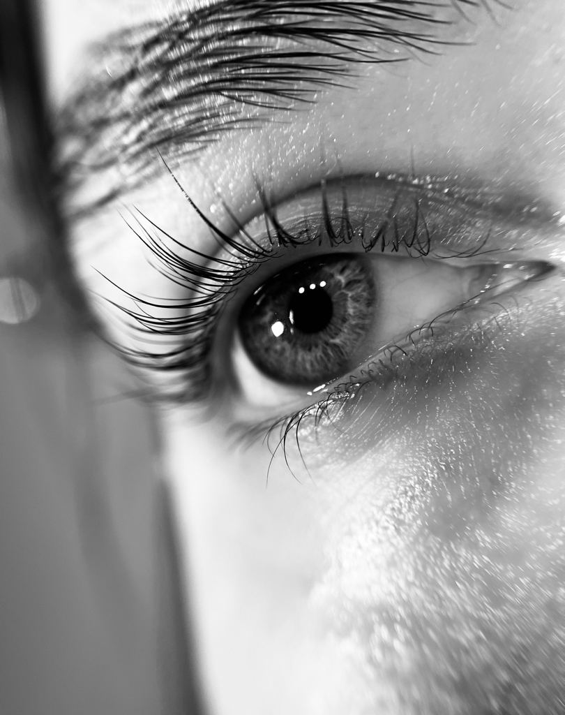 Комплекс «Лами ресниц и Лами бровей»