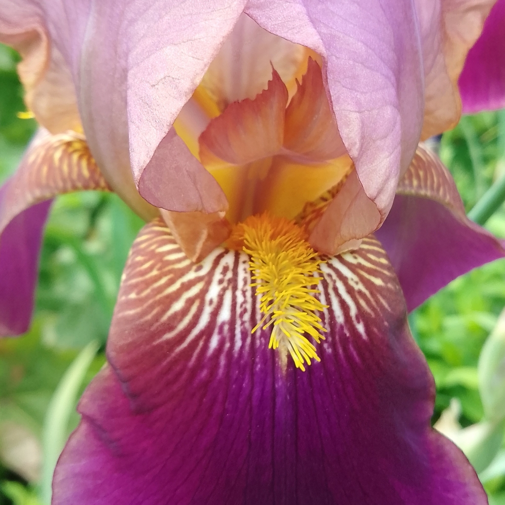 Корректирующий лимфодренажный массаж тела