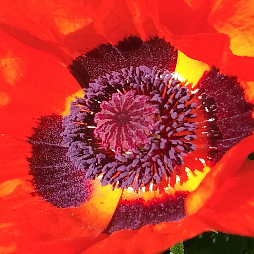 Лимфодренажный массаж