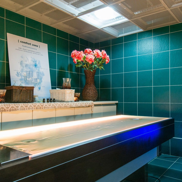 Моделирующая "Инжир"