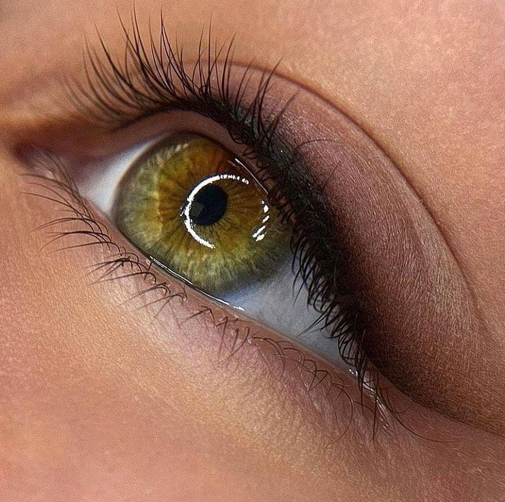 ПМ век PREMIUM +