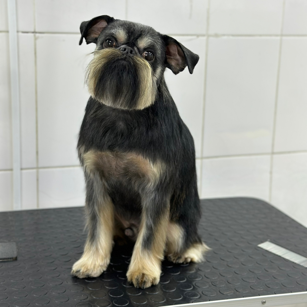 ГРИФОН тримминг