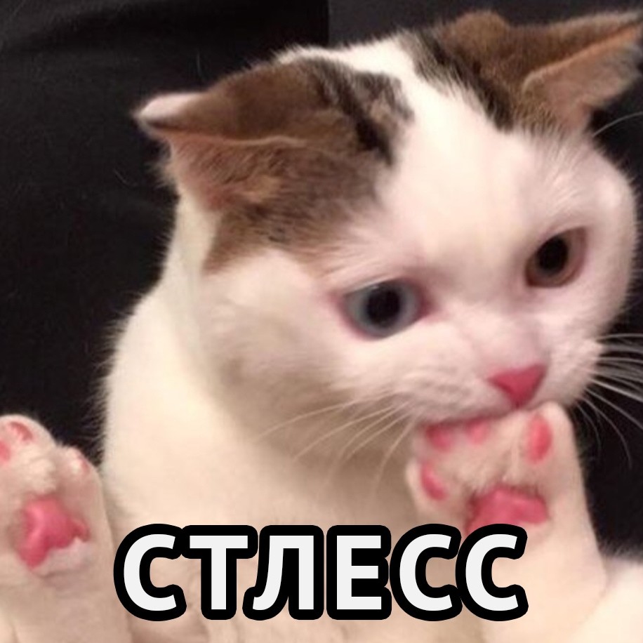 Внеплановый приём