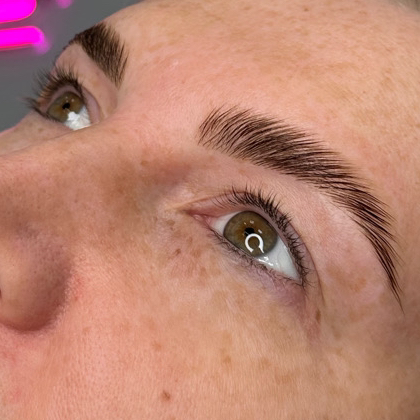 Ламинирование бровей +окрашивание+коррекция