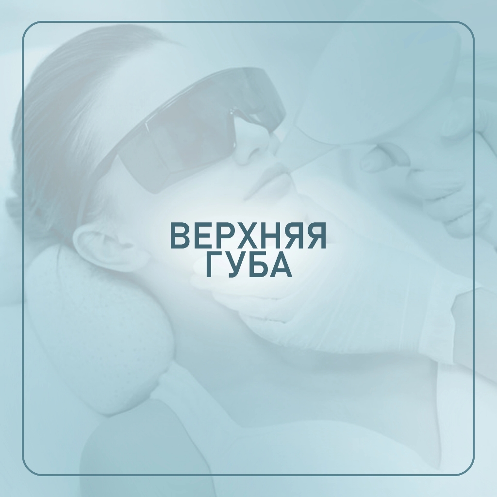 *Верхняя губа