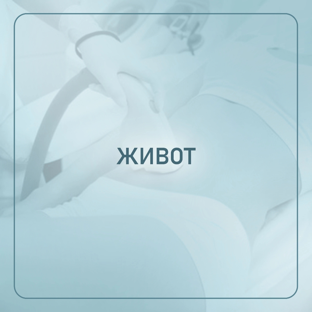 * Живот ( дорожка)