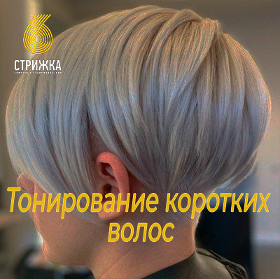 Тонирование коротких волос до 15см
