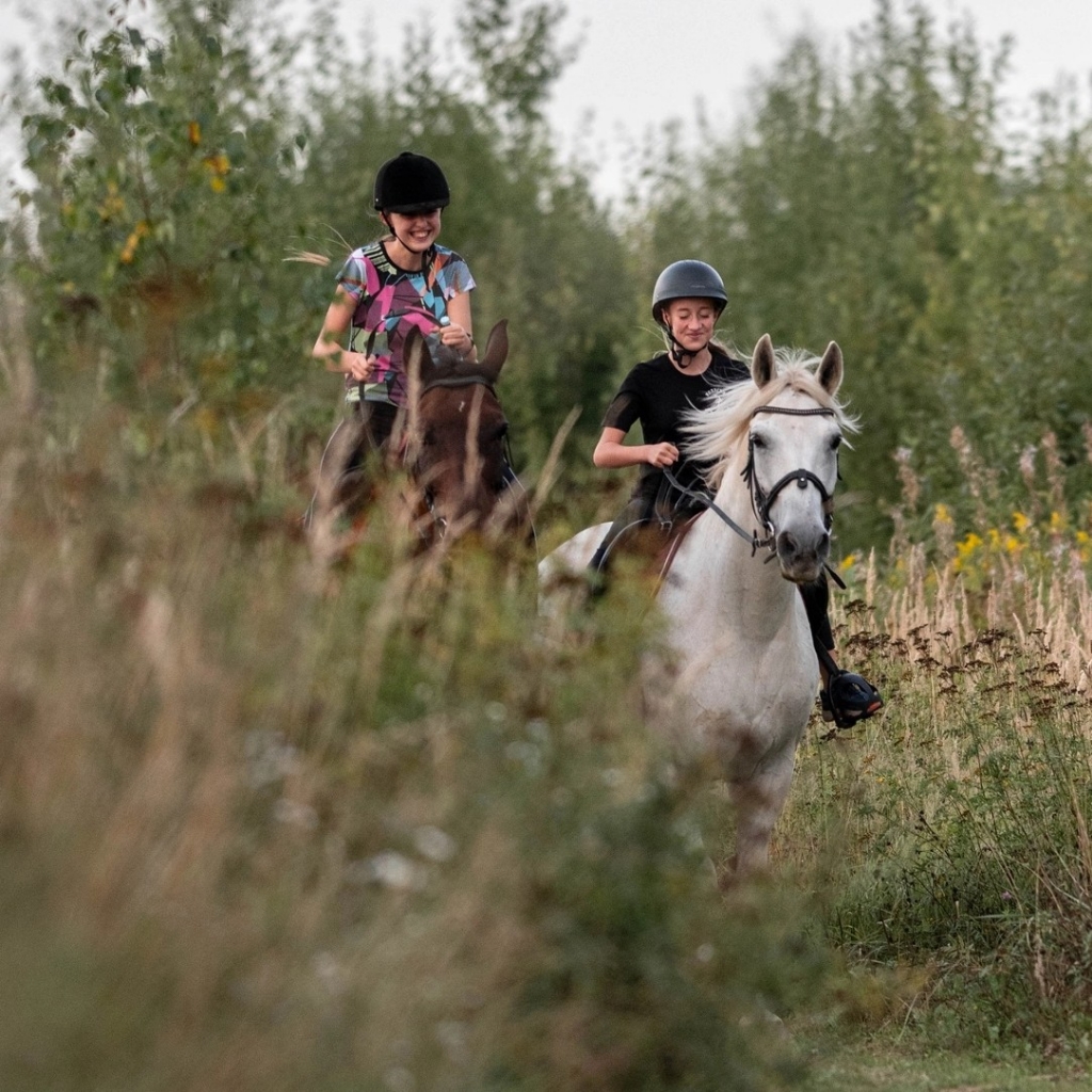 Прогулка  1 час