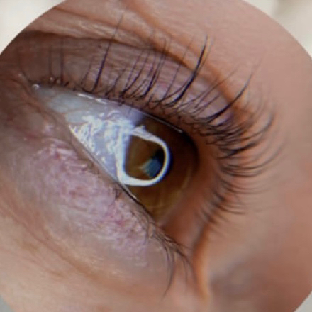 Ламинирование, Ботокс, Окрашивание Ресниц