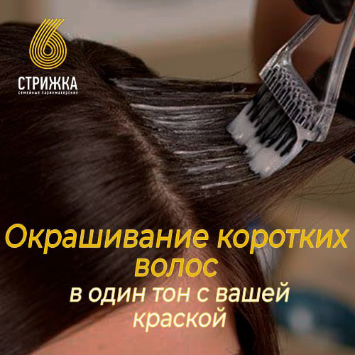 Окрашивание в один тон краской клиента, коротких волос до 15см