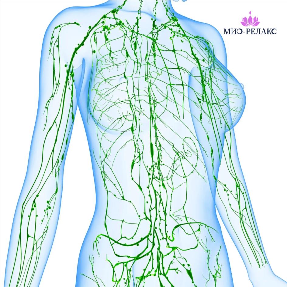 Лимфатический массаж (мягкие техники)
