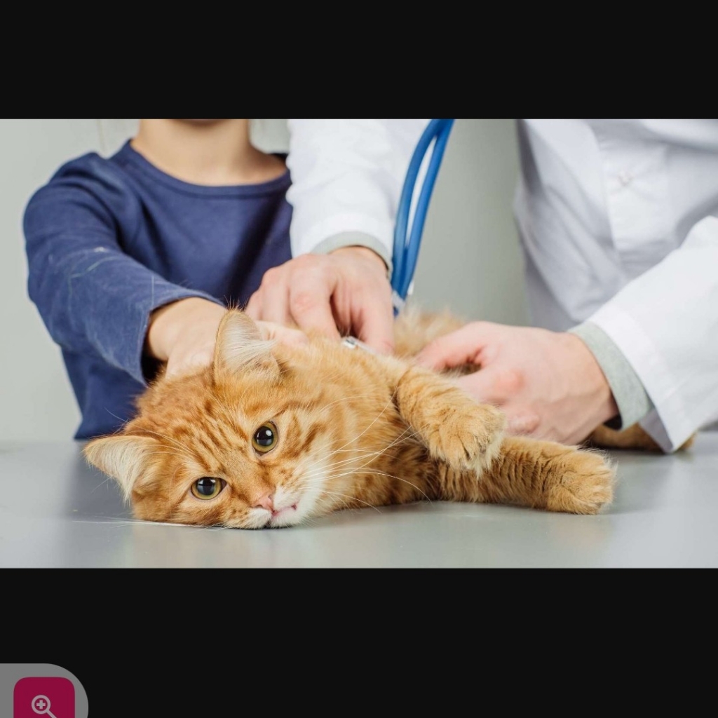 Первичный осмотр