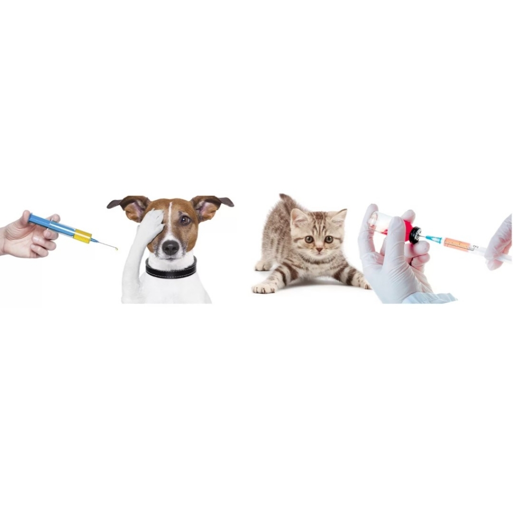 вакцинация