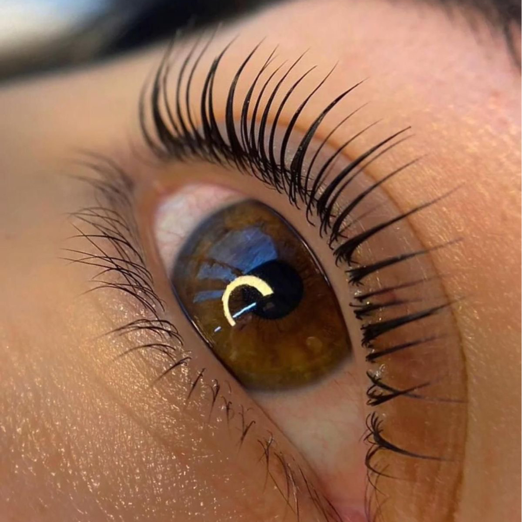 Обучение - Ламимейкер с 0