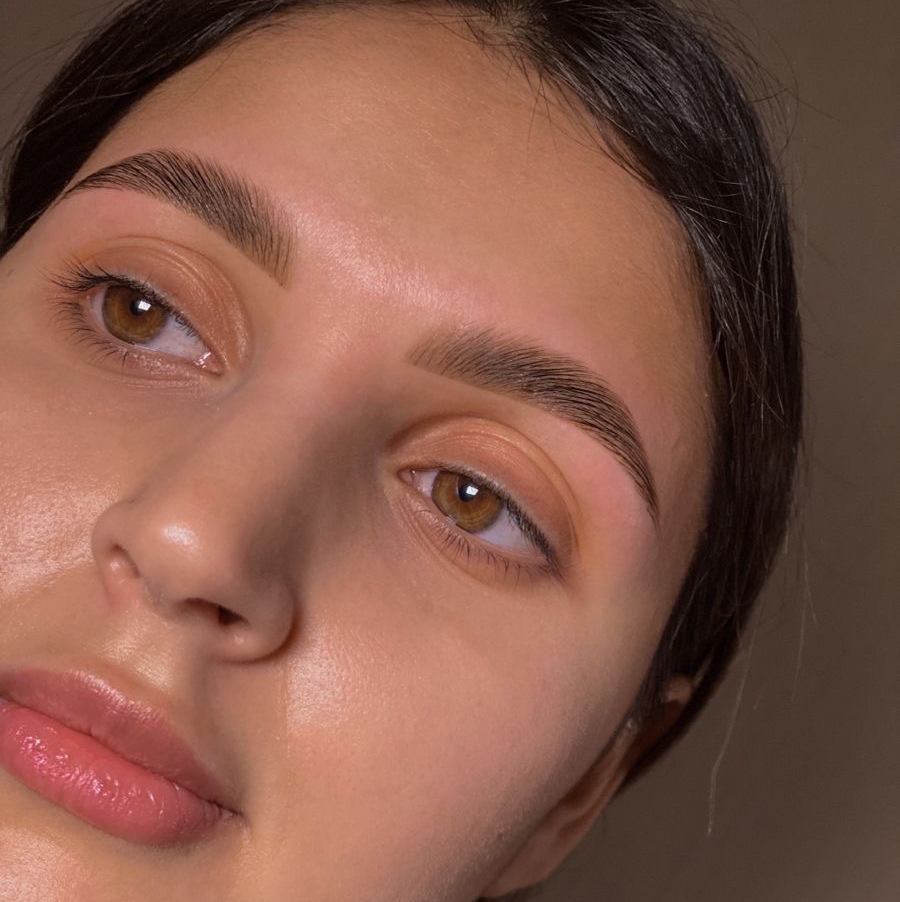 Обучение - Бровист с 0