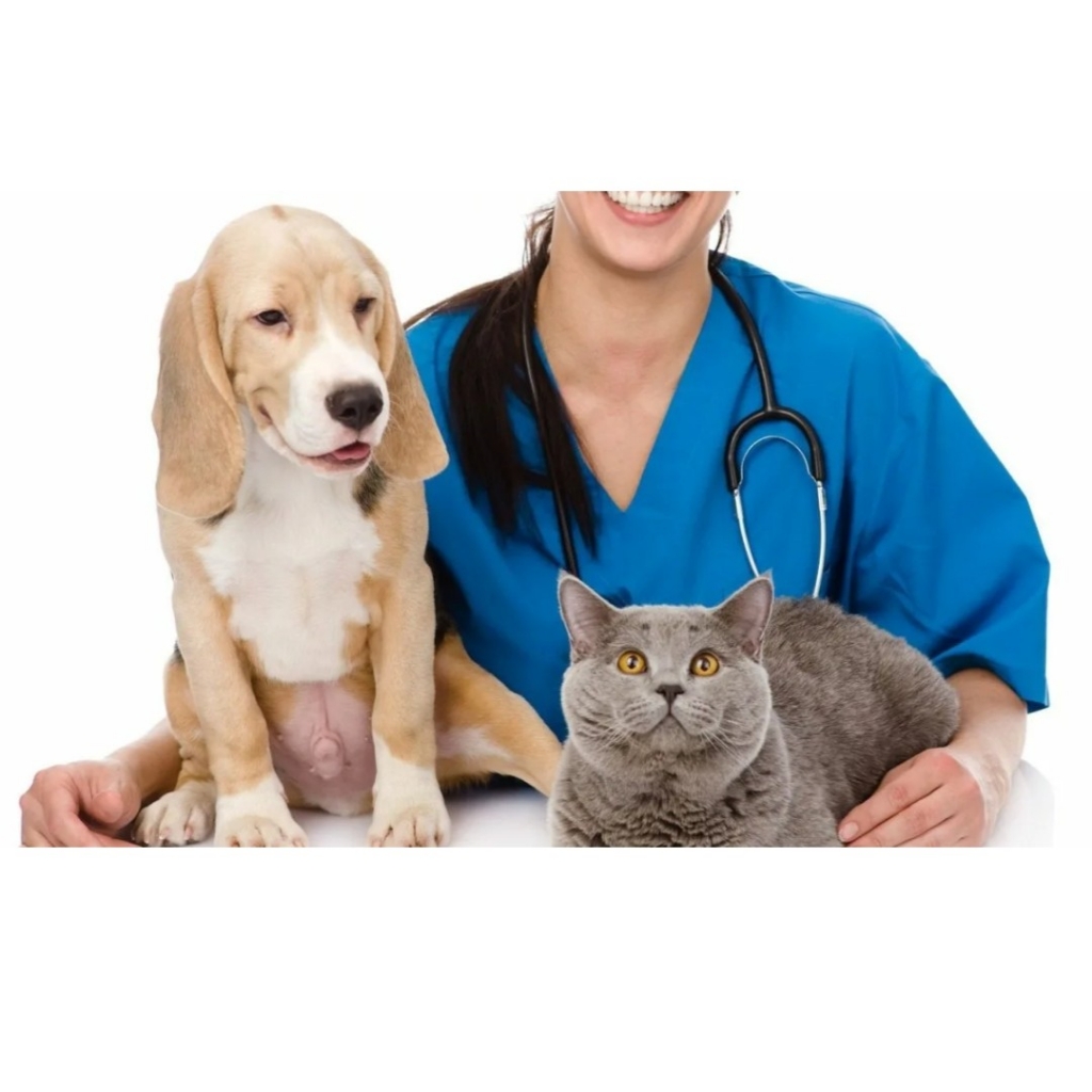 повторный прием