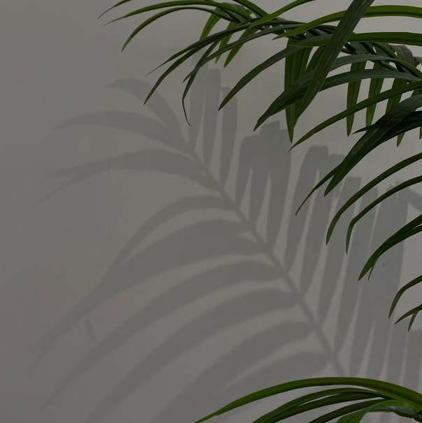 Массаж спины