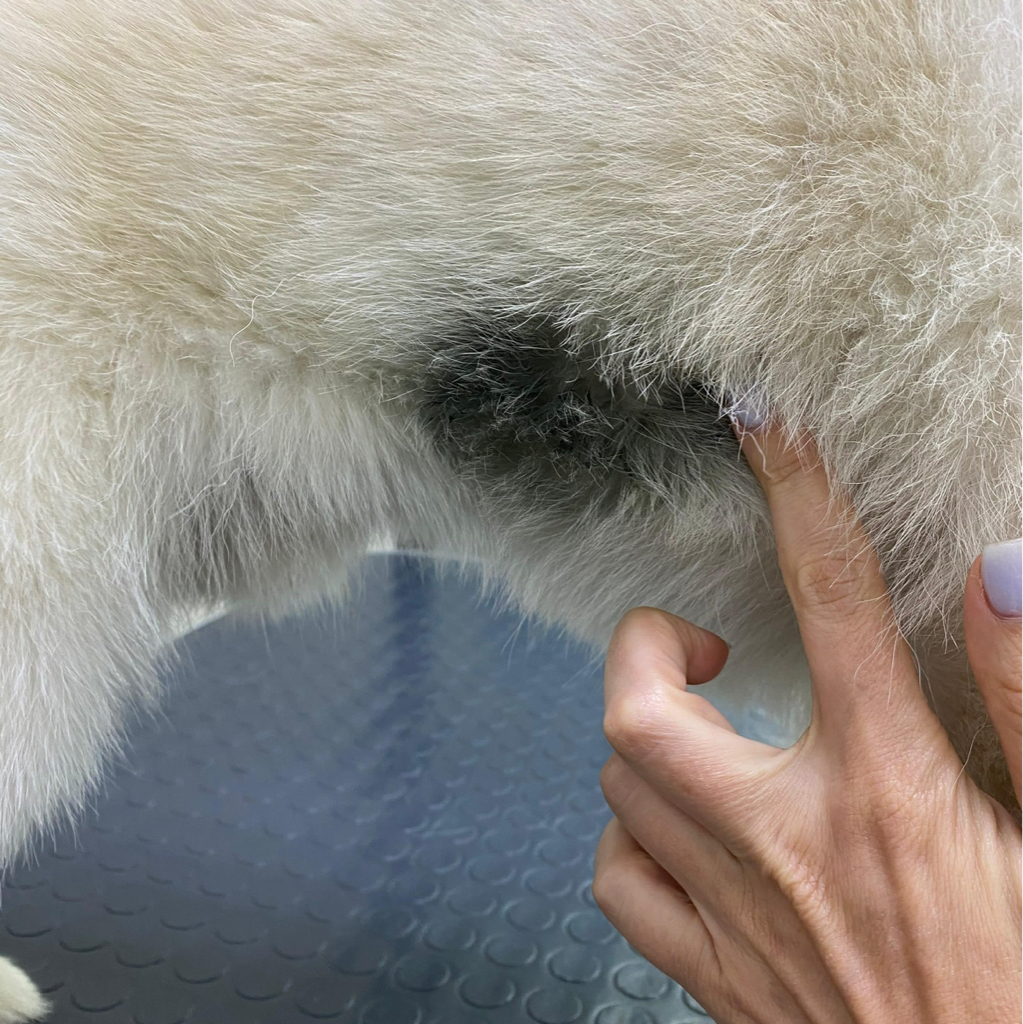 Отмывание сильных загрязнений (краска,мазут и тд.)