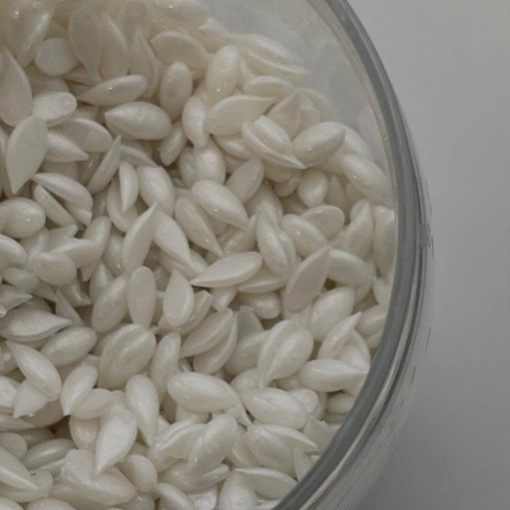 Живот воск (муж.)