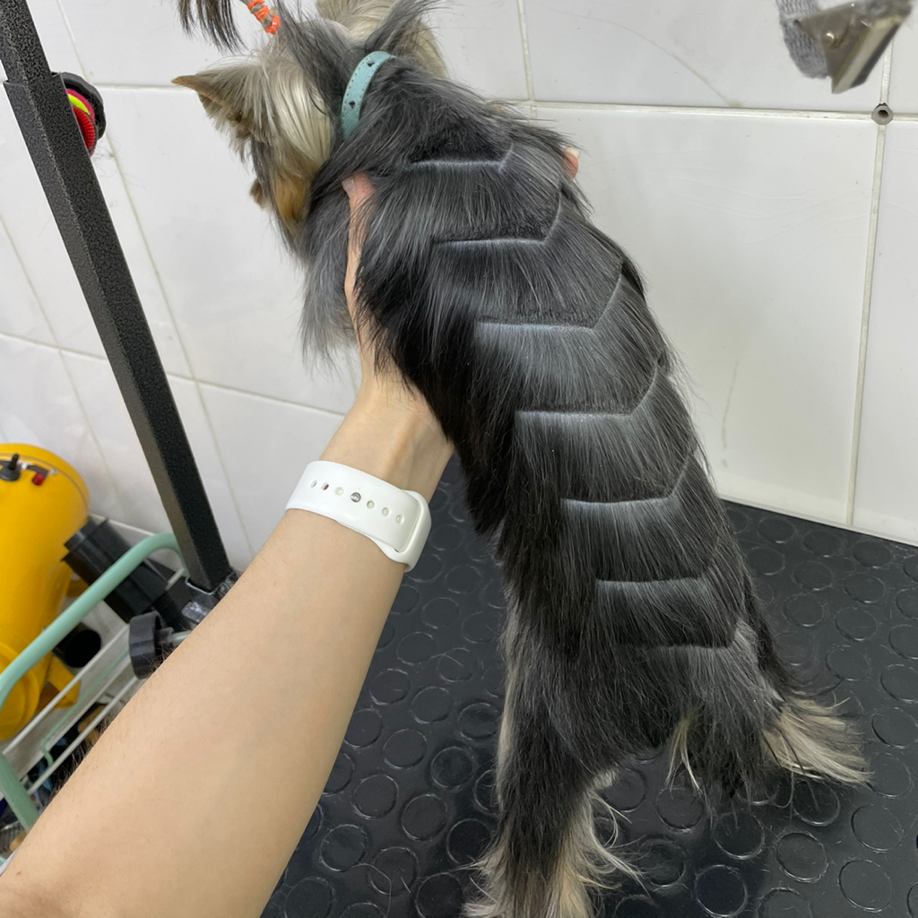 Узоры на шерсти