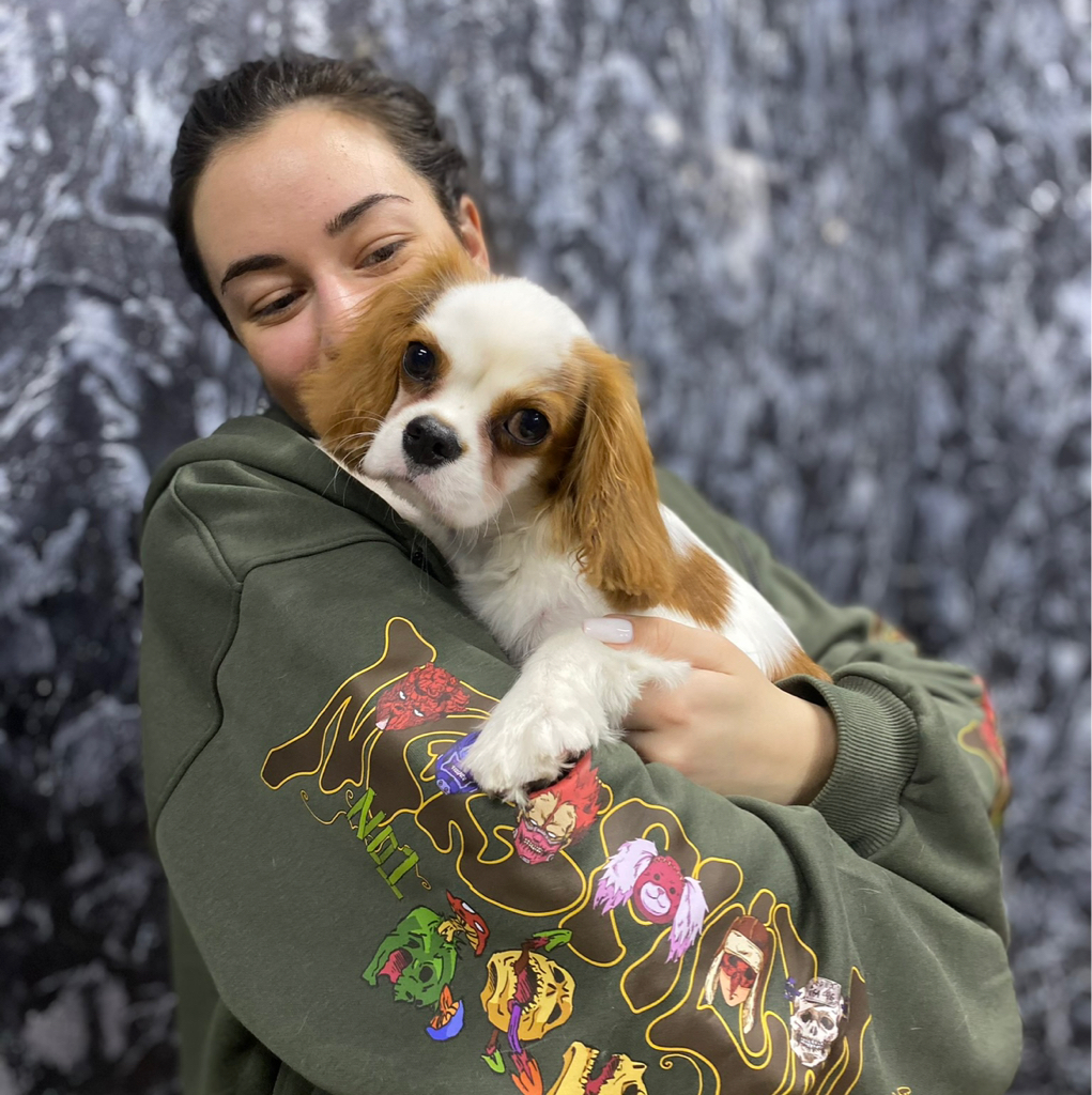 Курсы по уходу за домашним животным для хозяев