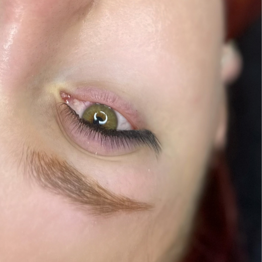 Наращивание ресниц 2-3д