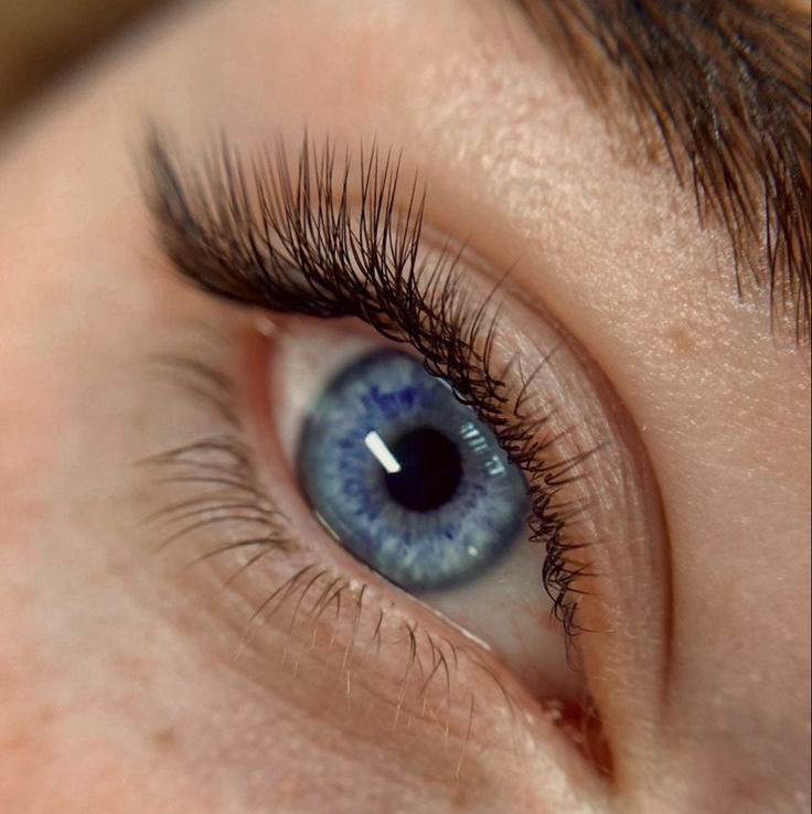 1D (классика)