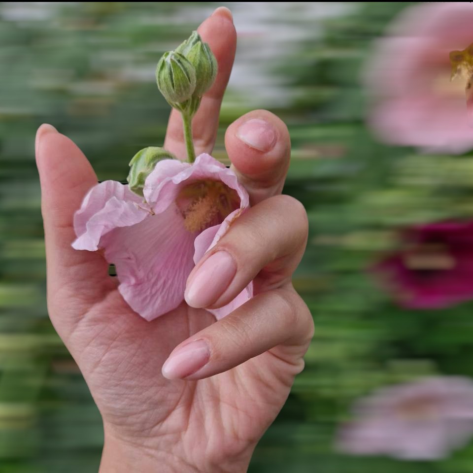 Маникюр с однотонным покрытием