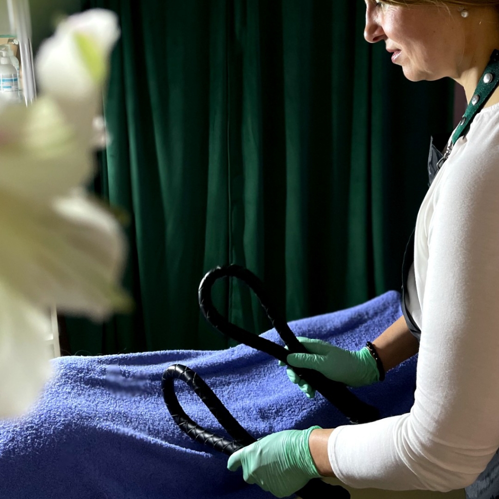 Релакс - массаж (нагайками-петлями )