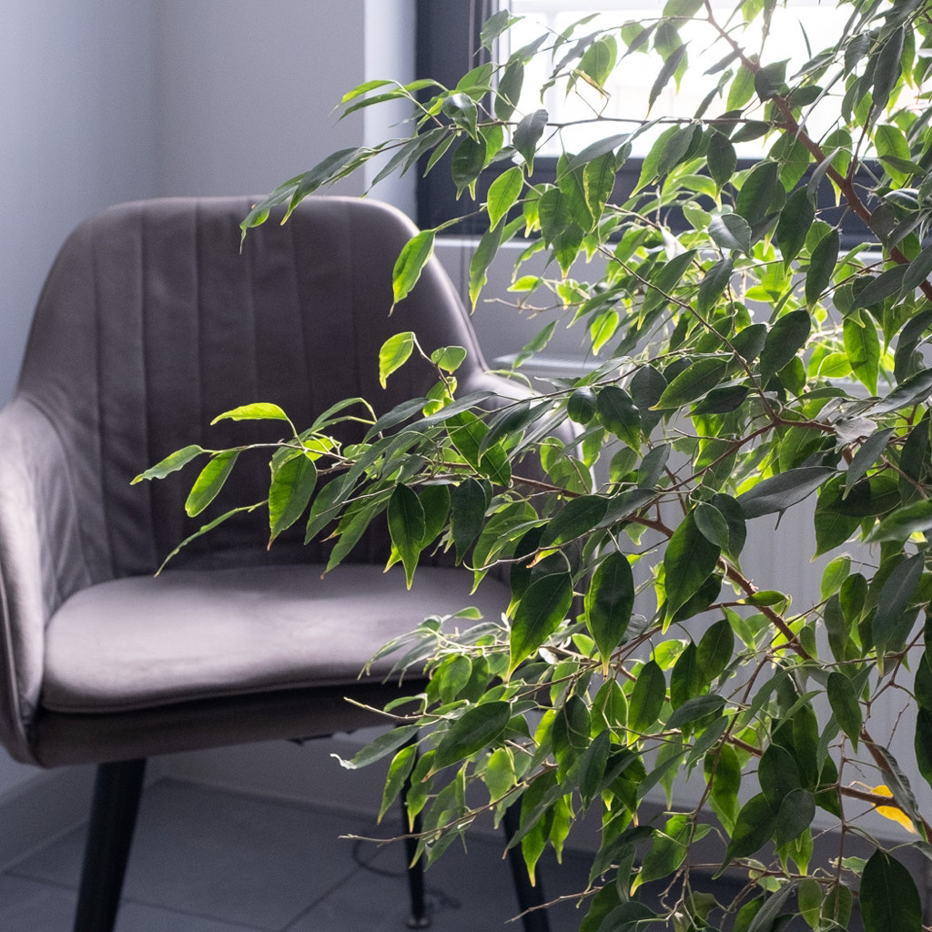 Аренда Большого зала для индивидуальной работы Студентам МИГ