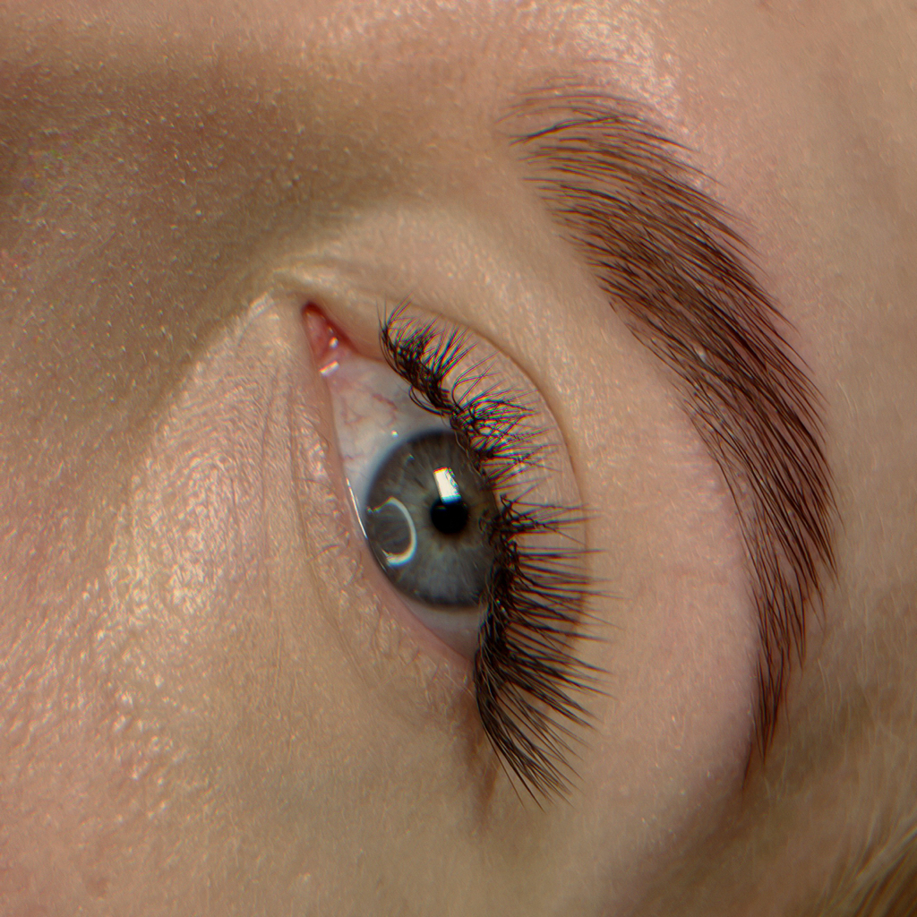 Долговременная укладка бровей (ламинирование): процедура укладки + маска на восстановление волосков + окрашивание краской + коррекция (воск / пинцет)