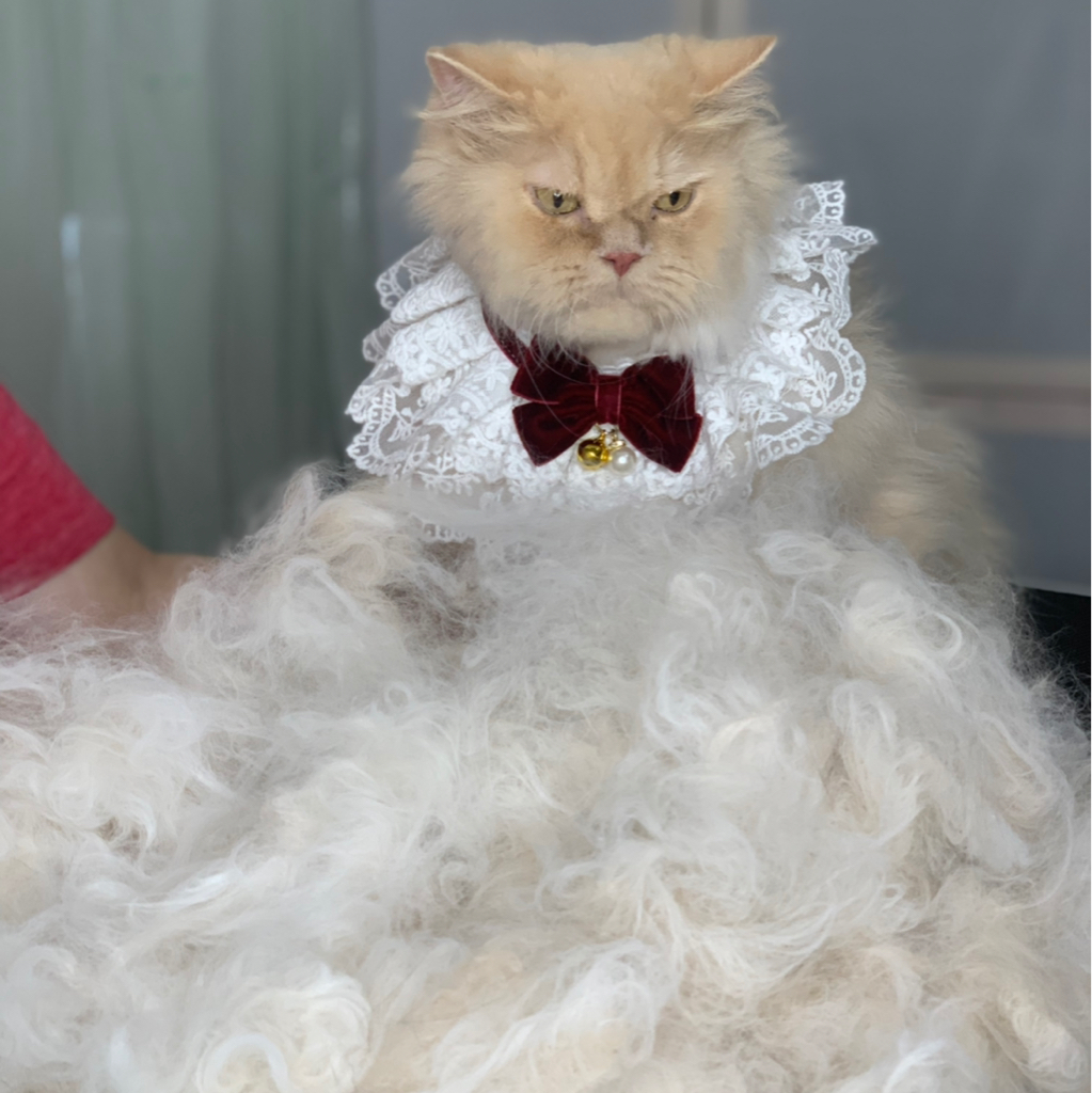 Вычёсывание