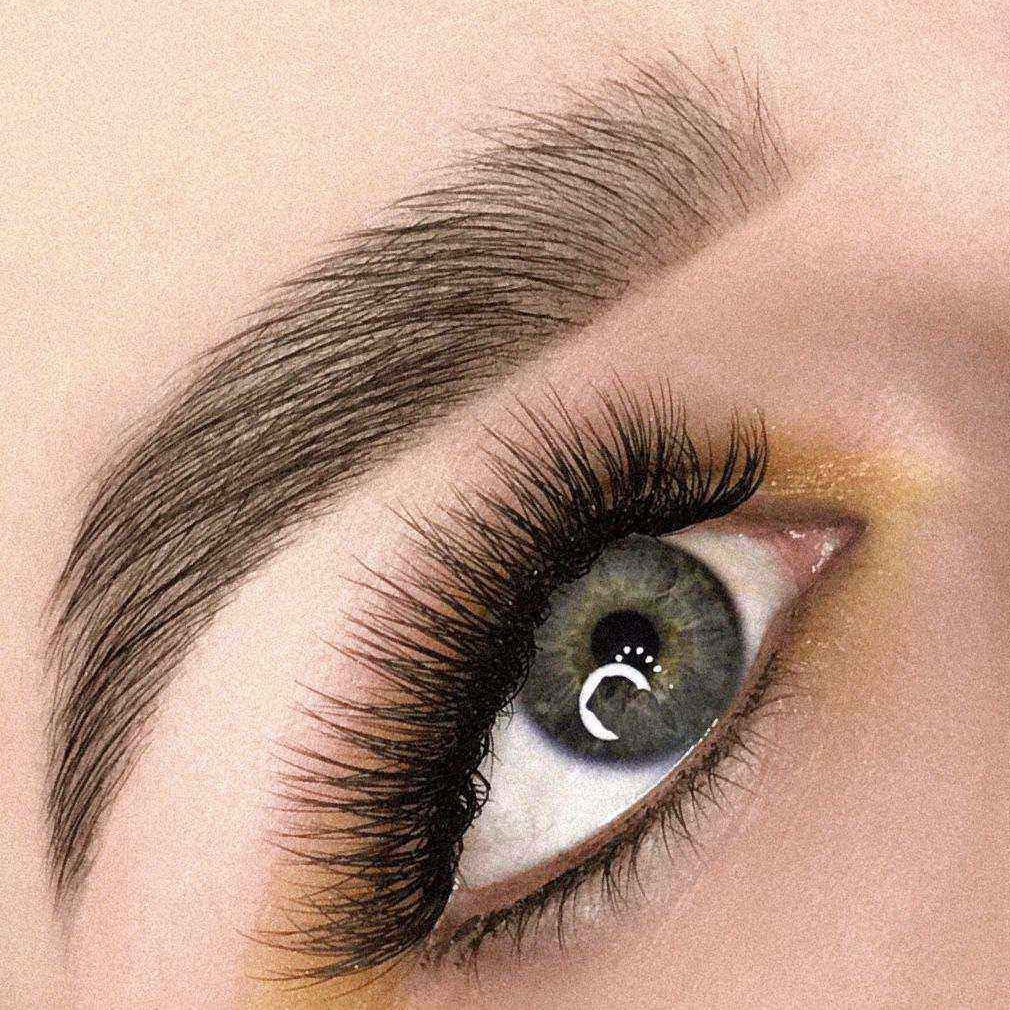 Архитектура бровей