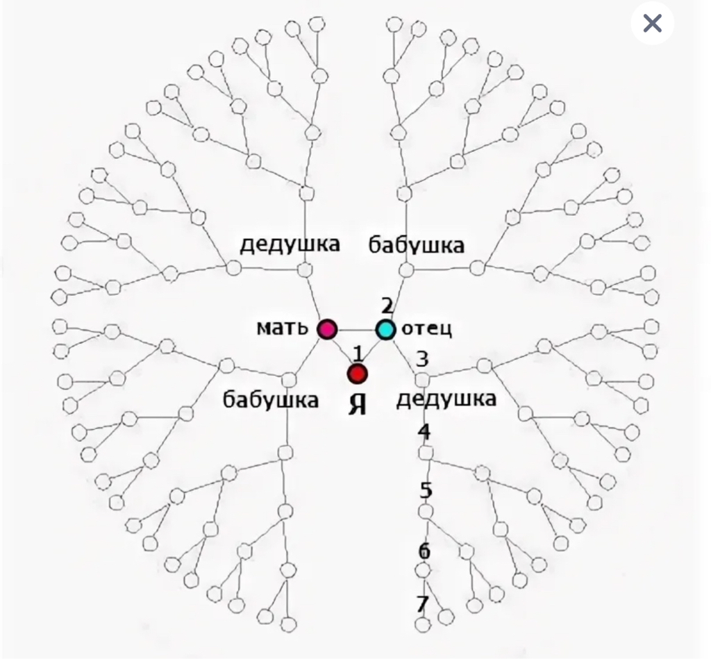 Семейная консультация