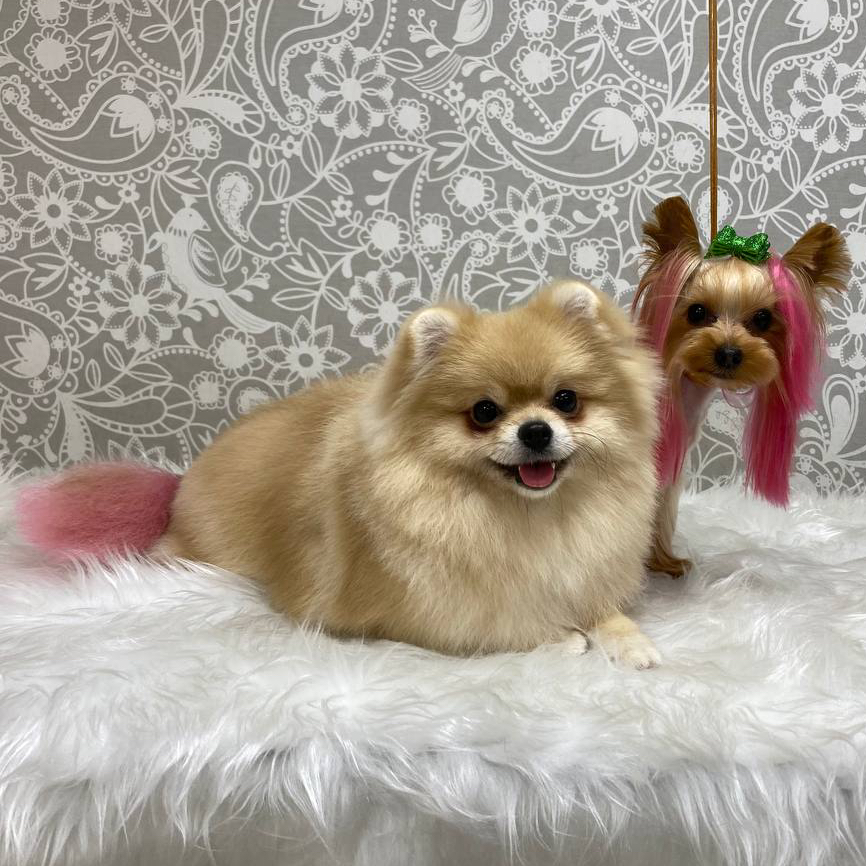 Креатив (доп. к основной услуге)