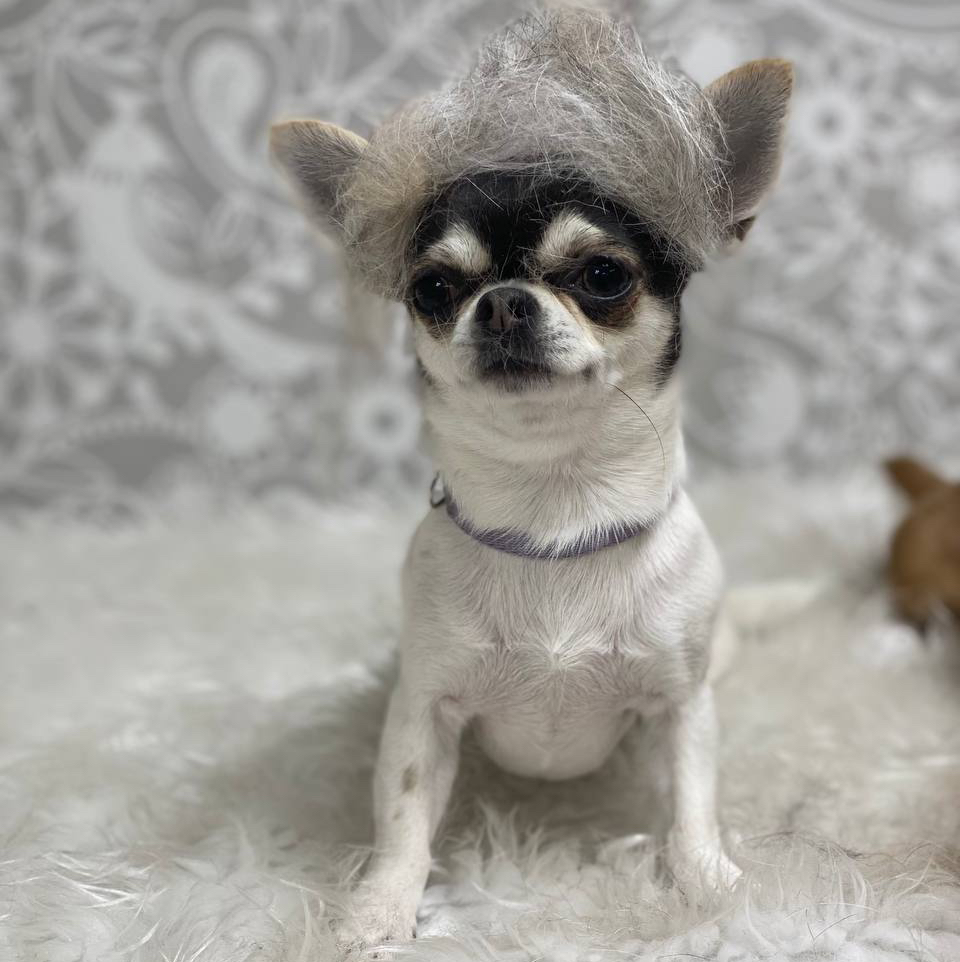 Экспресс линька До 5кг