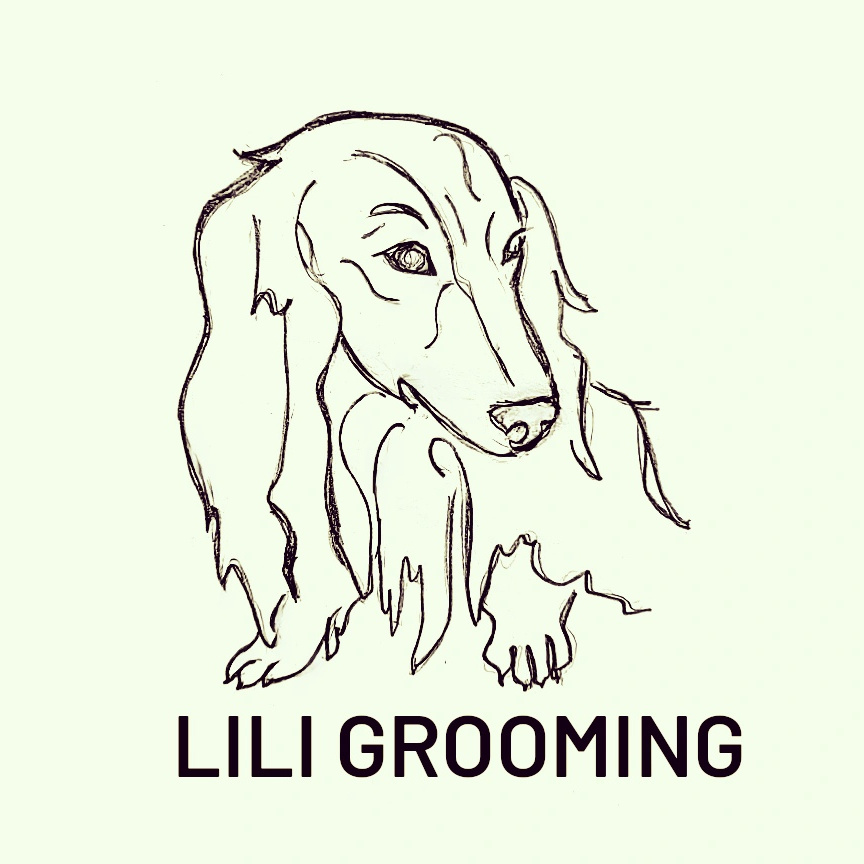 LILI GROOMING