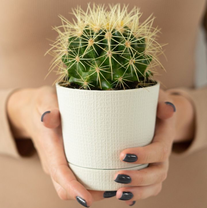 Шугаринг-воск
Носогубка+подмышечные впадины+гл бикини +руки+ ноги полностью