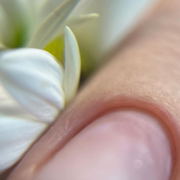 Маникюр женский / мужской  без покрытия (+ снятие)